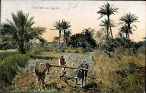 Ak Port Said Ägypten, Blanteur in Ägypten, Bauer mit Rinder, Pflug