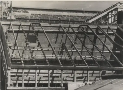 Original Foto Berlin Steglitz, Botanischer Garten, um 1945/46, ca. 12 x 17 cm