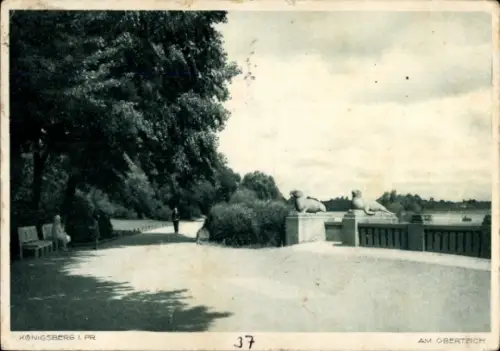 Ak Kaliningrad Königsberg Ostpreußen, Am Oberteich