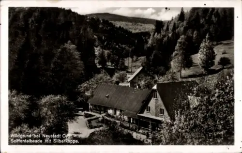 Ak Pokrzywna Wildgrund Głuchołazy Ziegenhals Oberschlesien, Seiffentalbaude mit Silberkoppe