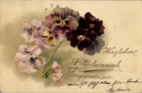 Ak Neujahr, Stiefmütterchen