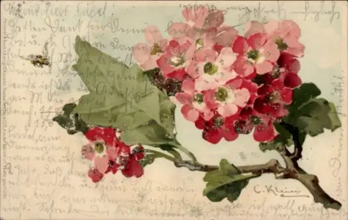 Künstler Litho Klein, C., Blühender Zweig, Biene