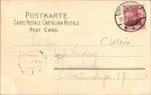 Künstler Litho Klein, C., Blühender Zweig, Biene