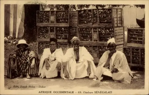 Ak Senegqal, senegalesische Vogelfänger