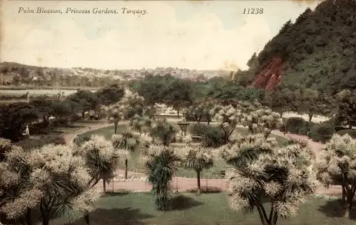 Ak Torquay Devon England, Palm Blossom, Princess Gardens,  Parklandschaft, Bäume, Brunnen