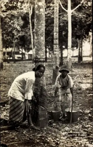 PC Singapore Singapore, Tapping Rubber