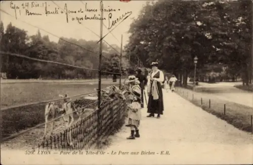 CPA Lyon Rhône, Parc de la Téte-d'Or, Parc aux Biches