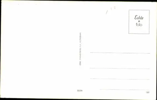 Ak The Blue Diamonds, Portrait, Gitarre