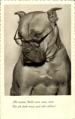 Ak Vermenschlichter Hund mit Brille