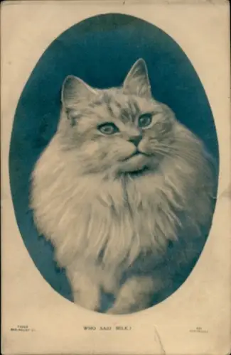 Ak Portrait einer Katze, Who said Milk?
