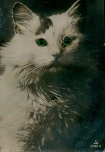 Material Ak weiße Katze mit grünen Glasaugen