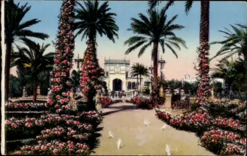 Ak Sevilla Andalusien, Parkanlage mit Palmen, Blumenbeeten, weißen Tauben, Gebäude im Hintergrund