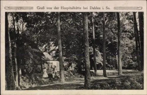 Ak Dahlen in Sachsen, Hospitalhütte, Bäume, Menschen, Grußkarte, Dahlen i. Sa.
