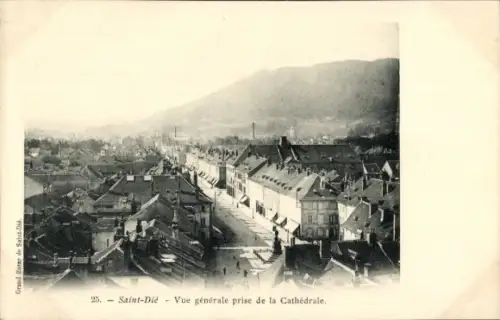 CPA Saint-Dié-des-Vosges, Vue générale prise de la Cathédrale