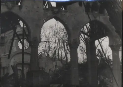 Original Fotos Berlin Tiergarten, Zoo, um 1945/46, ca. 12 x 17 cm