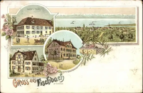 Litho Fischbach Friedrichshafen am Bodensee, Gesamtansicht, Gasthof zur Traube