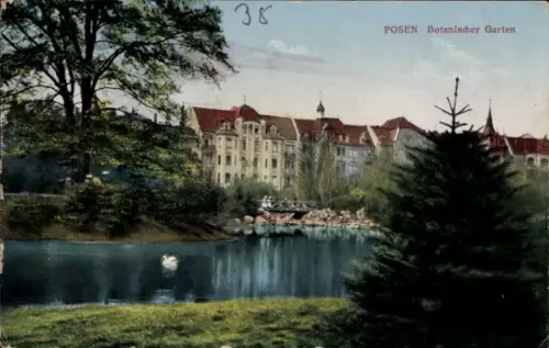 Ak Poznań Posen,  Botanischer Garten, See, Bäume, Gebäude