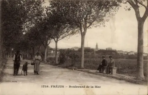 Ak Fréjus Var, Boulevard de la Mer,  Spaziergänger, Hund, Bäume, Menschen