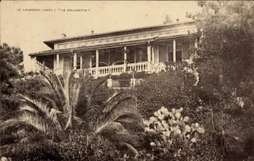 Ak Le Lavandou Var, Haus mit Veranda, Garten, Palmen, Pflanzen