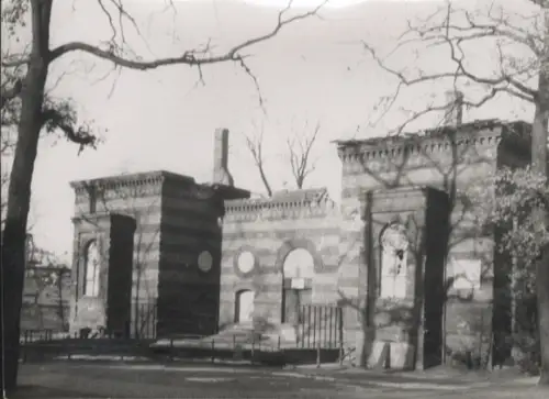 Original Fotos Berlin Tiergarten, Zoo, um 1945/46, ca. 12 x 17 cm