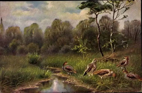 Ak Landschaft mit Rebhühnern