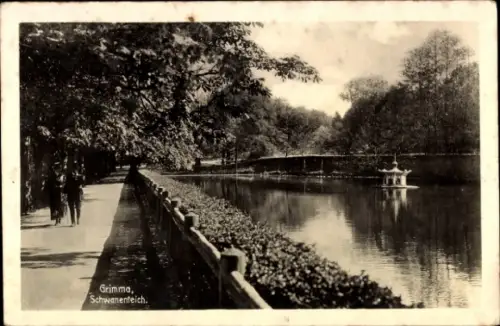 Ak Grimma in Sachsen,  Schwanenteich, Parklandschaft, Spaziergänger, Wasser, Bäume