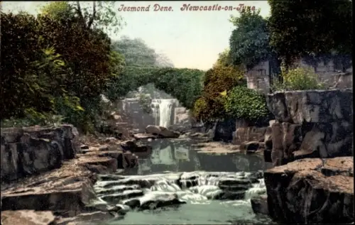 Ak Newcastle upon Tyne England, Jesmond Dene