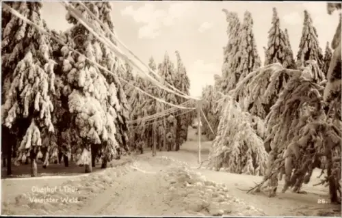 Ak Oberhof im Thüringer Wald, Vereister Wald