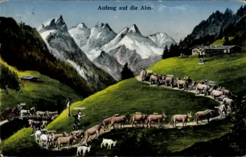 Ak Aufzug auf die Alm, Kühe