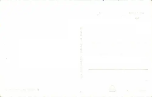 Ak Siamkatze, Tierportrait