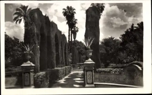 PC Seville Andalusia, Royal Palaces, Gardens
