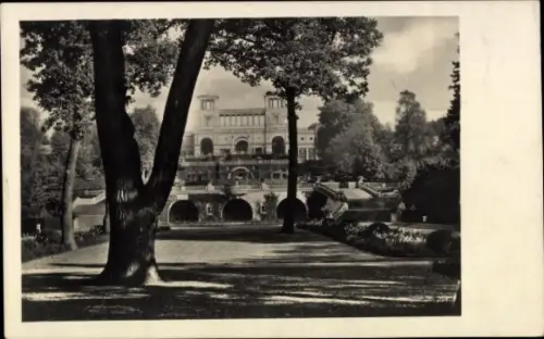 Ak Potsdam Sanssouci, Schwarz-Weiß-Foto, Parklandschaft, Orangerie, Bäume, Weg