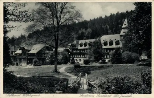 Ak Międzygórze Wölfelsgrund Schlesien, Sanatorium