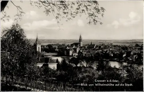 Ak Krosno Odrzańskie Crossen an der Oder Ostbrandenburg, Gesamtansicht, Blick von Wilhelmshöhe