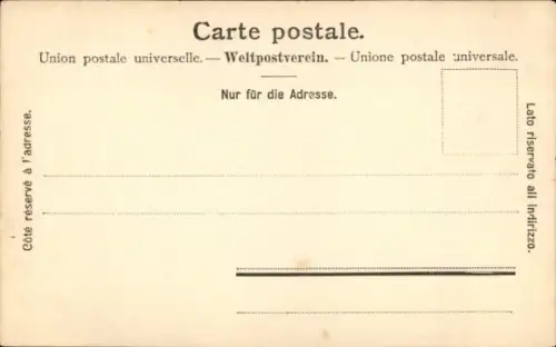 Ak Nyon Kanton Waadt, Pointe de Promenthoux, Wellen auf dem Genfer See