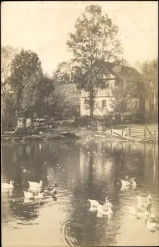 Foto Ak Bad Steben in Oberfranken, Haus Recknagel, Teich