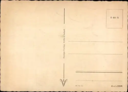 Ak Katze, Tierportrait