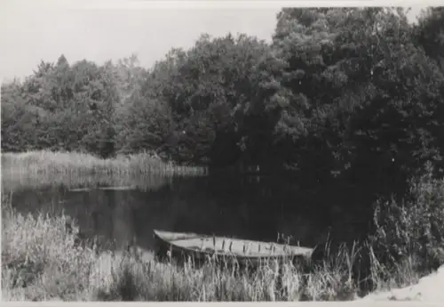 Original Foto Berlin Steglitz, Teich u. Ruderboot im Botanischen Garten, um 1945/46, ca. 12 x 17 cm