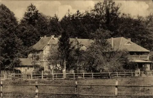 Ak Deutsch Evern in Niedersachsen, Forsthaus Tiergarten, Pensionat, Inh. H. Wolter