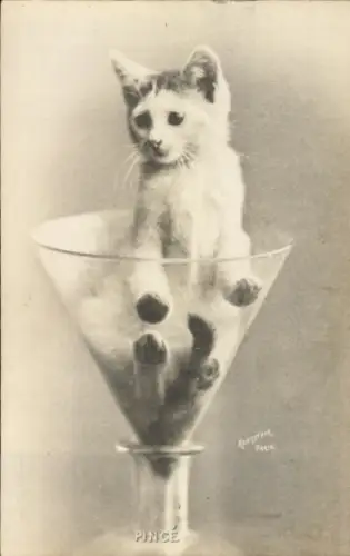 Ak eine junge Katze in einem Glasgefäß