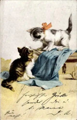 Künstler Ak Zwei Katzen spielen, Decke