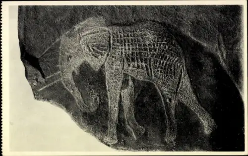 Ak Südafrikanisches Museum Kapstadt, prähistorische Felsgravur eines Elefanten