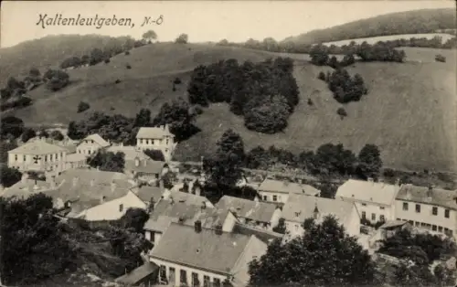 Ak Kaltenleutgeben in Niederösterreich, Teilansicht