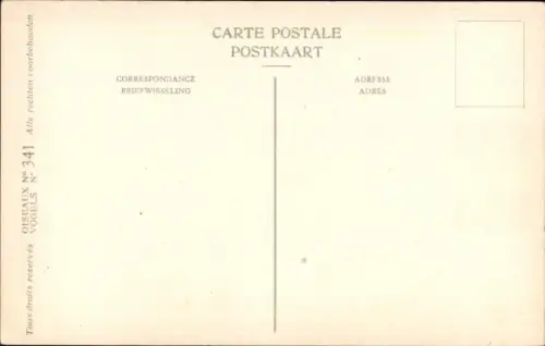 Künstler Ak Dupond, Hub., Larus ichtyaetus, Fischmöwe