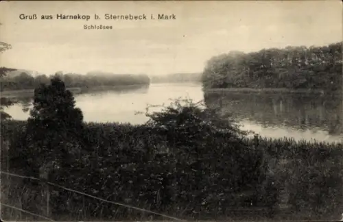 Ak Harnekop Prötzel in der Mark, Schloßsee, Gruß aus Harnekop b. Sternebeck i. Mark