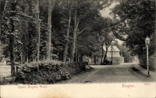 Ak Bognor Regis West Sussex England,  Upper Bognor Road, Bäume, Weg, Bank