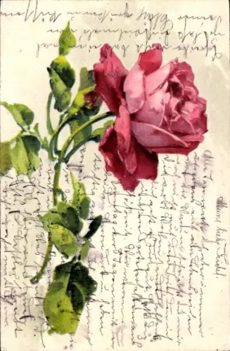 Künstler Litho Klein, Catharina, rote Rose