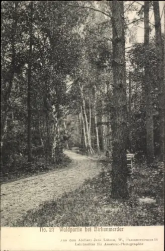 Ak Birkenwerder in Brandenburg, Waldpartie, Weg, Bäume, Schwarz-Weiß-Fotografie