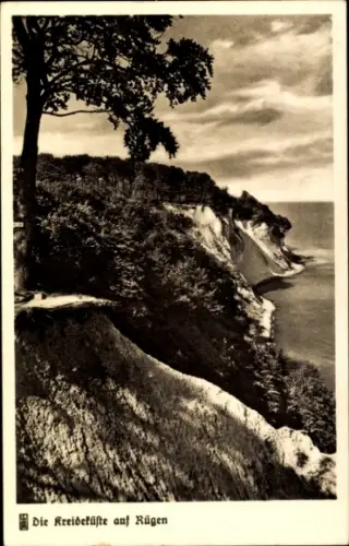 Ak Insel Rügen, Kreideküste, Küstenlandschaft, Meer, Bäume, Schwarz-Weiß-Foto