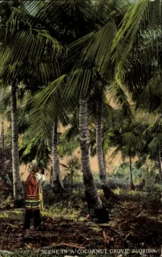 PC Coconut Grove Miami Florida USA, Scene